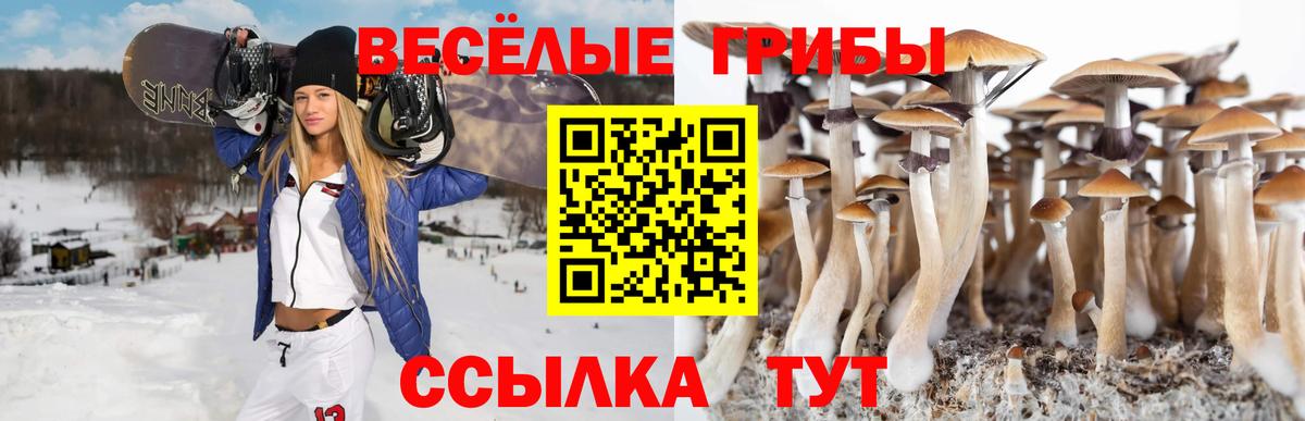 как найти наркотики  Галлюциногенные грибы MAGIC MUSHROOMS  Вход с VPN  Лесной 